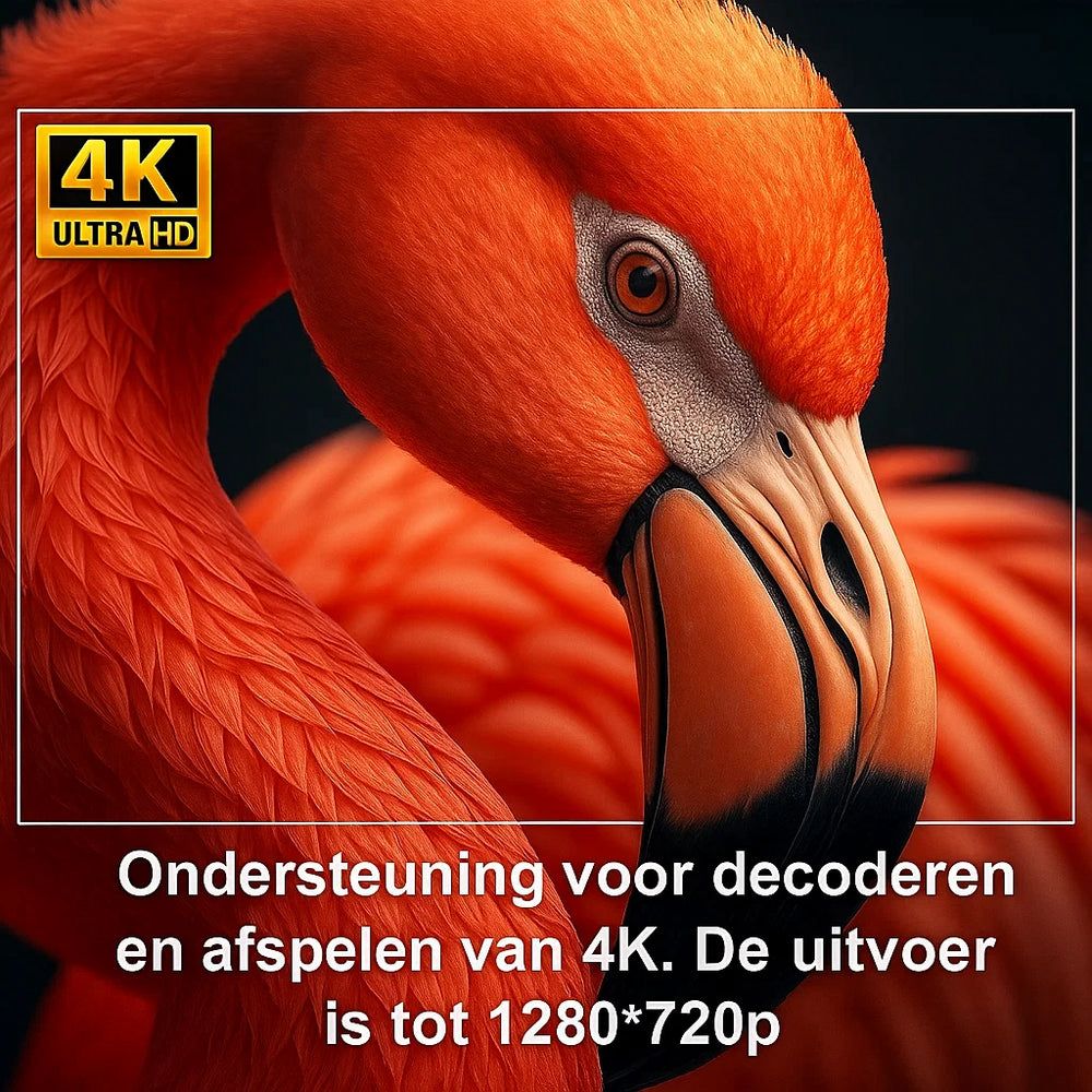 CineMate™– 180° Draaibare Beamer met Flexibele Projectie voor Wand & Plafond | HD Beeldkwaliteit