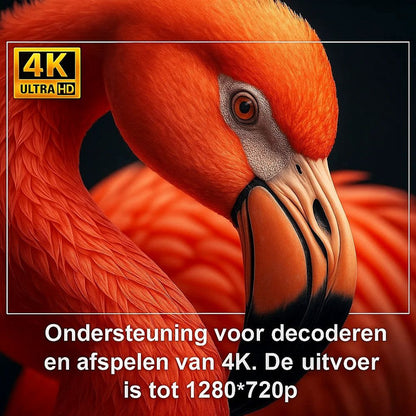CineMate™– 180° Draaibare Beamer met Flexibele Projectie voor Wand & Plafond | HD Beeldkwaliteit